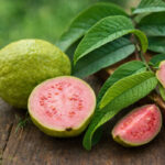 Гуава (Psidium guajava)- тропічний фрукт
